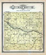 Black Wolf Township, Smoky Hill River, Turkey Creek, Little Wolf Creek, Buffalo, Ellsworth County 1918